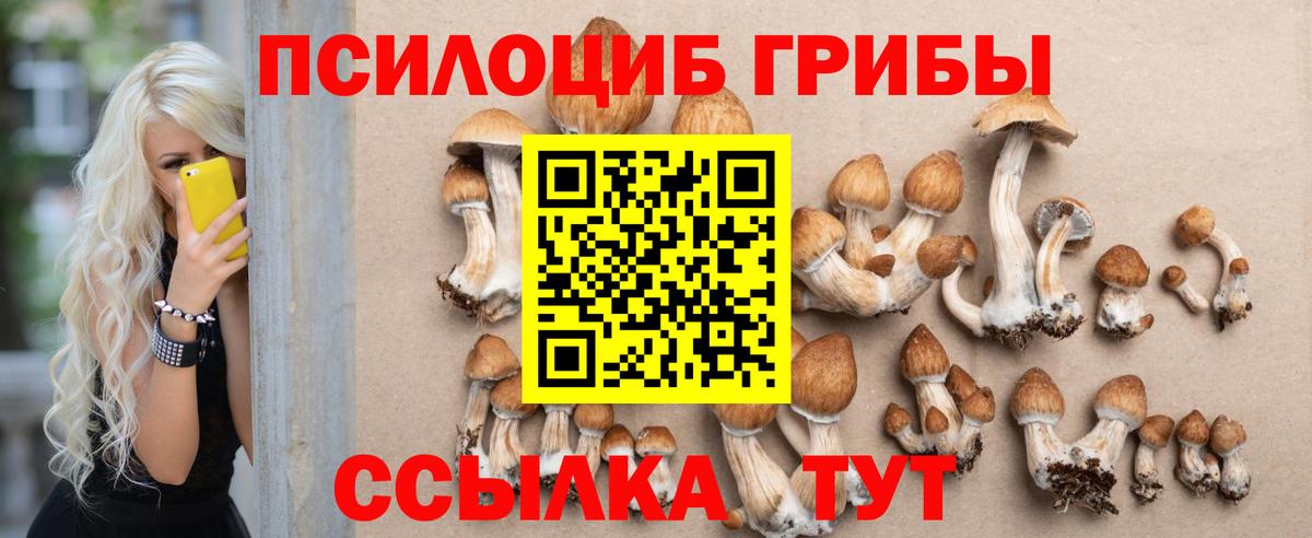 Псилоцибиновые грибы Psilocybe  Вход с VPN  сколько стоит  Анжеро-Судженск 